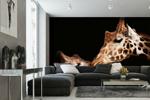 Vlies Fototapete - Zwei Giraffen 375 x 250 cm
